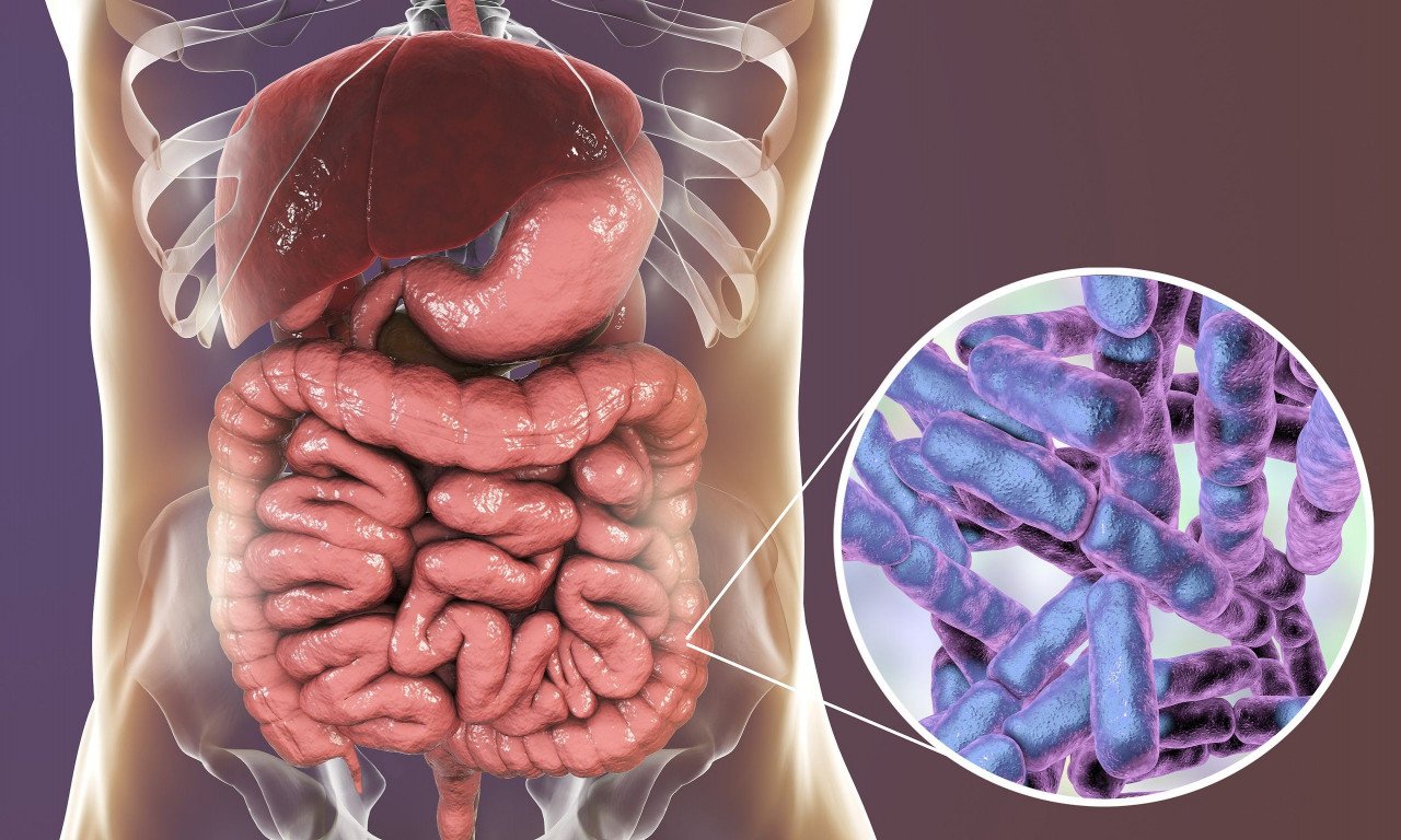 You are currently viewing Μικροβίωμα εντέρου: Πότε αυξάνει τον κίνδυνο εμφάνισης διαβήτη τύπου 2