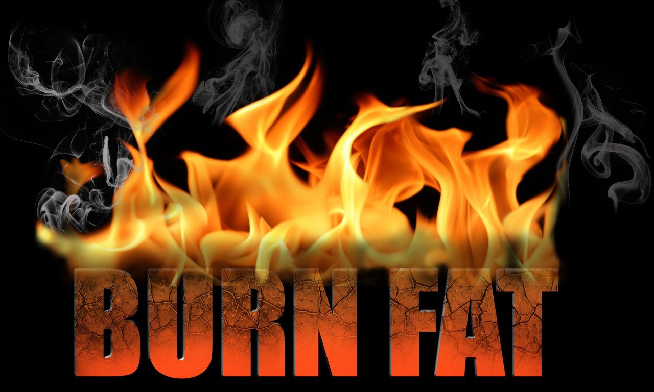 You are currently viewing Η πρωτεΐνη που «καίει» το λίπος και καταπολεμά την παχυσαρκία