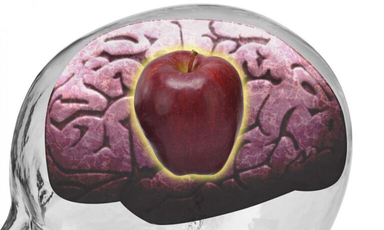 Read more about the article Πρόληψη άνοιας: Τα δύο φρούτα που πρέπει να καταναλώνετε τακτικά