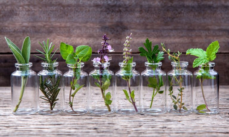 Read more about the article Τα καλύτερα αιθέρια έλαια για τη φλεγμονή και πώς να τα χρησιμοποιήσετε