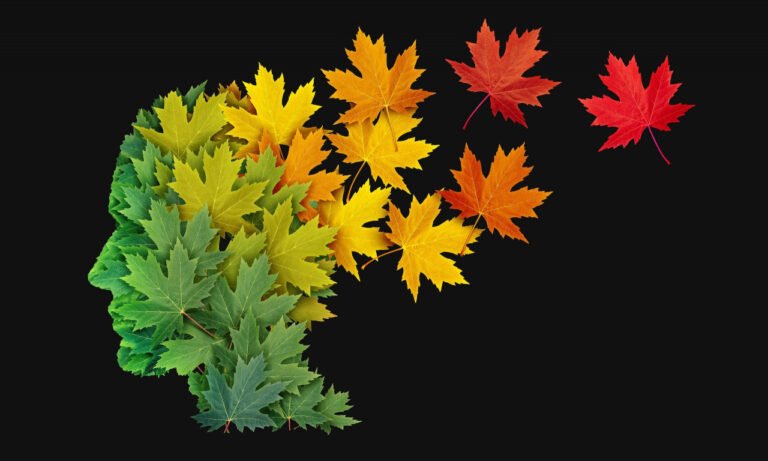 Read more about the article Παράγοντες που γερνούν πρόωρα τον εγκέφαλο