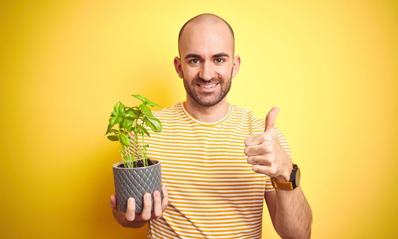 You are currently viewing Το ιδανικό βότανο για οστεοαρθρίτιδα και παθήσεις των οστών