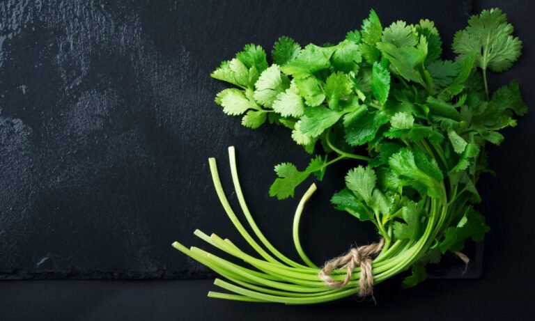 Read more about the article Το βότανο με την αντιφλεγμονώδη δύναμη που ρυθμίζει σάκχαρο και χοληστερίνη