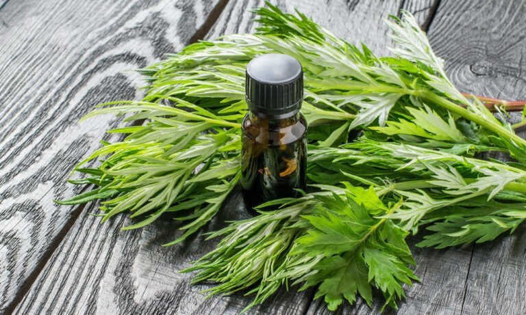 Read more about the article Καρκίνος παχέος εντέρου: Το φυτό με τη θεραπευτική δράση – Σημαντική επιστημονική ανακάλυψη