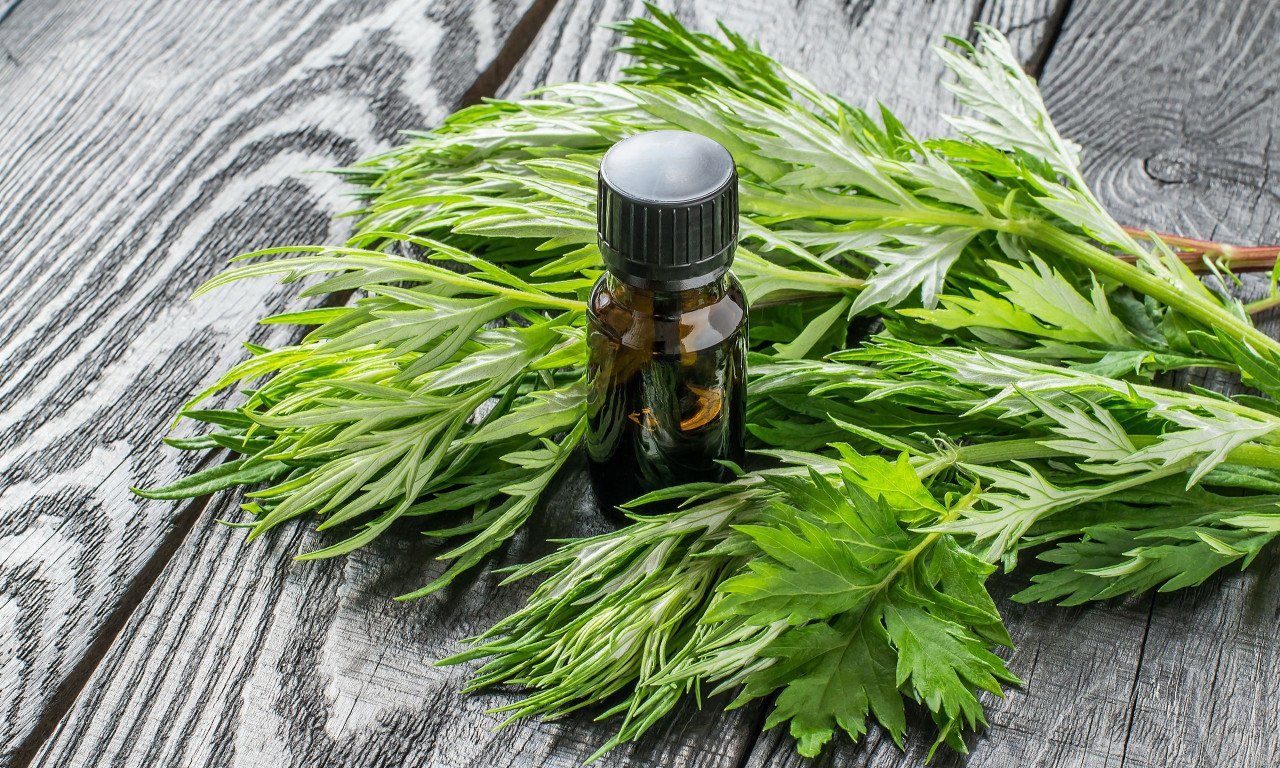 You are currently viewing Καρκίνος παχέος εντέρου: Το φυτό με τη θεραπευτική δράση – Σημαντική επιστημονική ανακάλυψη