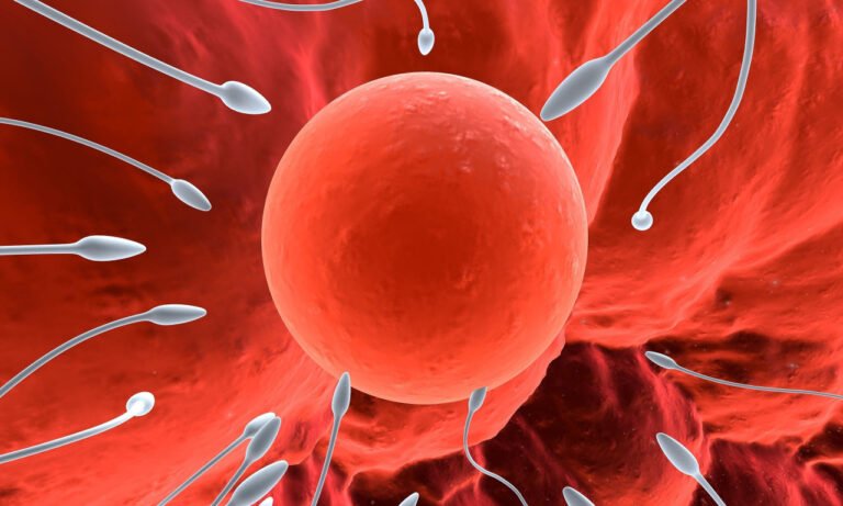 Read more about the article Εξωσωματική γονιμοποίηση: Ο ρόλος της ηλικίας του άνδρα