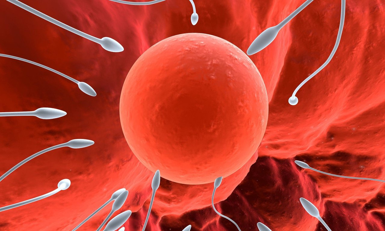 You are currently viewing Εξωσωματική γονιμοποίηση: Ο ρόλος της ηλικίας του άνδρα