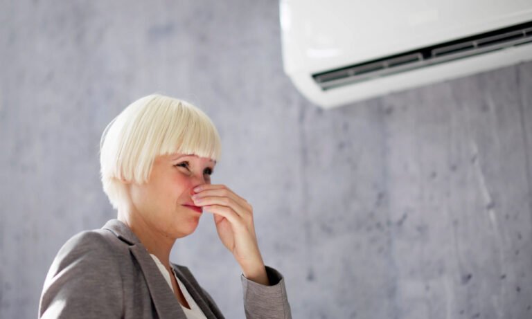 Read more about the article Τι είναι η μυρωδιά μούχλας από το κλιματιστικό; Κίνδυνοι υγείας και αντιμετώπιση