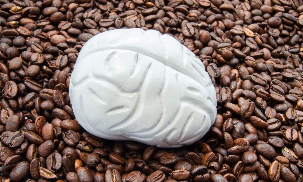 You are currently viewing Η επίδραση της καφεΐνης στον εγκέφαλο ενώ κοιμόμαστε