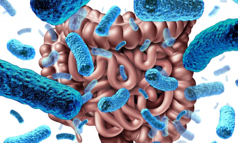 Read more about the article Καρκίνος παγκρέατος: Τι αποκαλύπτει για τον κίνδυνο το μικροβίωμα του εντέρου