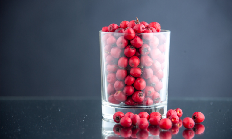 Read more about the article Γιατί το κράνμπερι είναι ο καλύτερος «σύμμαχος» για την προστασία από τις ουρολοιμώξεις