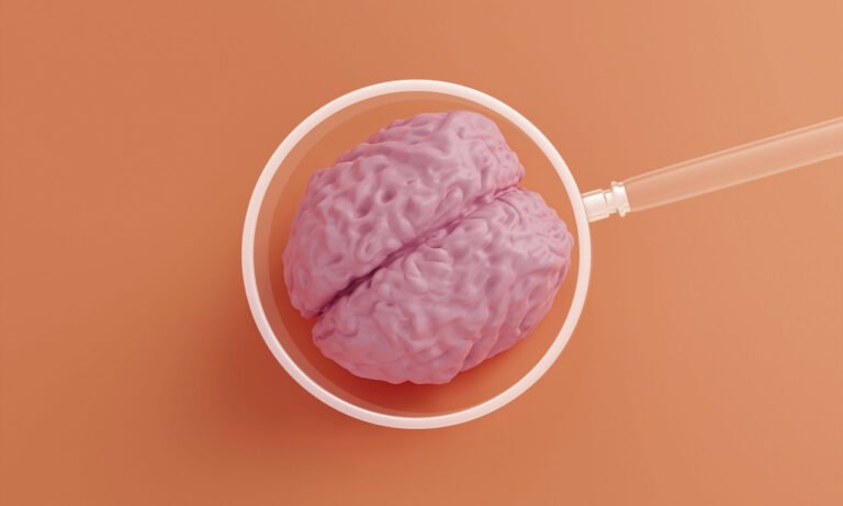 Read more about the article Ο σημαντικός ρόλος της κρεατίνης στην υγεία του εγκεφάλου