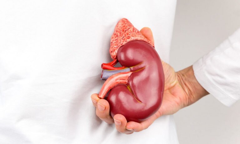 Read more about the article Χρόνια νεφρική νόσος: Οι επιπτώσεις στα δόντια