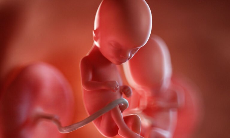 Read more about the article Εμφύτευση ανθρώπινου εμβρύου καταγράφηκε σε πραγματικό χρόνο για πρώτη φορά [βίντεο]