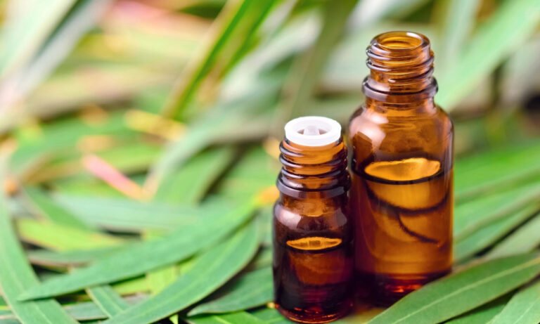 Read more about the article Έλαιο ευκαλύπτου: Απίστευτη πολυχρηστικότητα – Δείτε πόσα μπορείτε να κάνετε