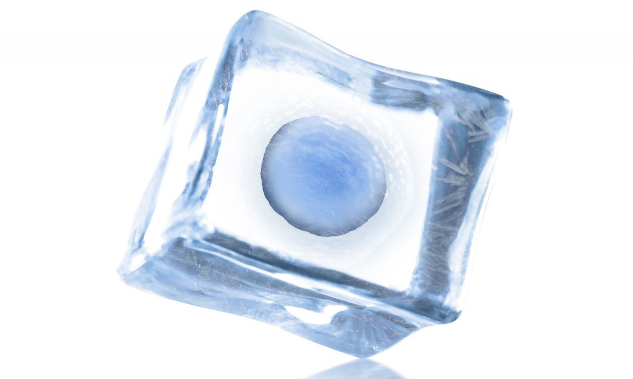 You are currently viewing Κατάψυξη ωαρίων: Ποια είναι η διαδικασία και τι πρέπει να γνωρίζετε πριν προχωρήσετε