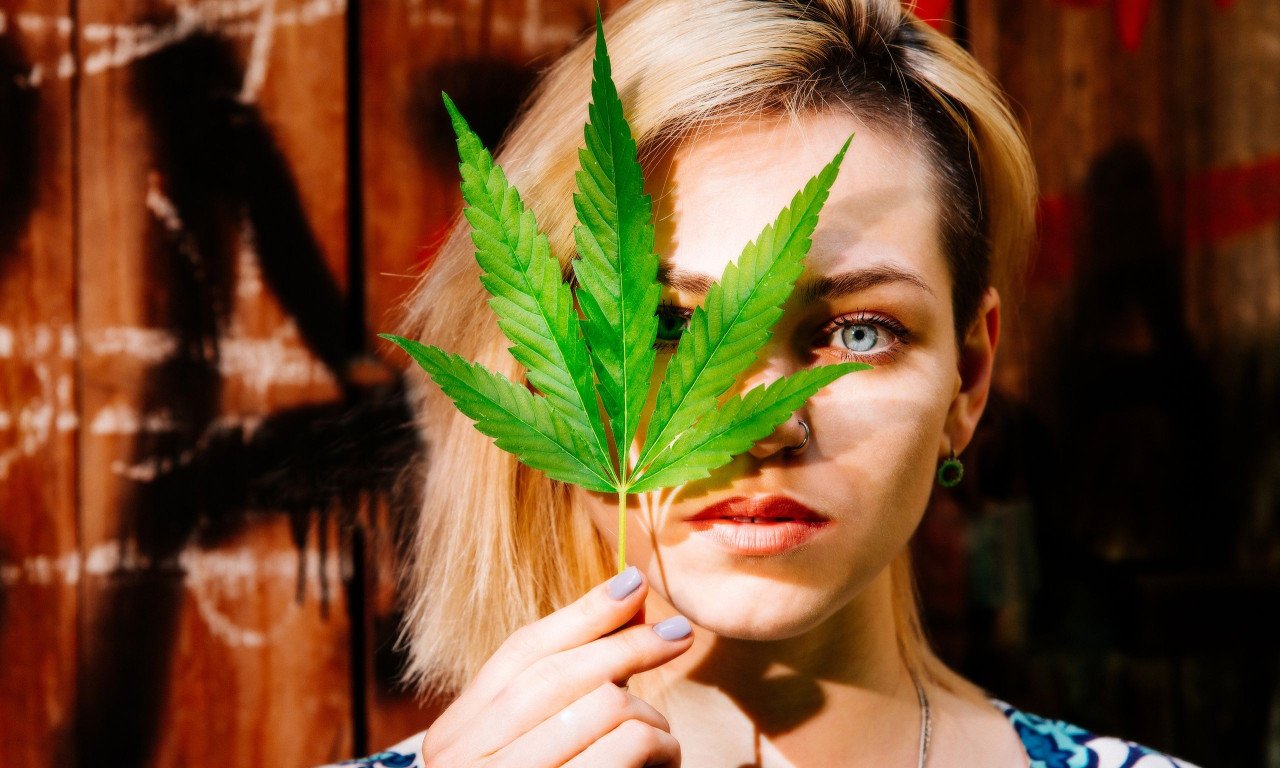 You are currently viewing Ενώσεις κάνναβης καταπολεμούν έναν από τους πιο θανατηφόρους καρκίνους – Έρευνα