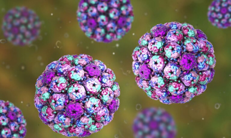 Read more about the article Ιός της παιδικής ηλικίας συνδέεται με καρκίνο ουροδόχου κύστης δεκαετίες αργότερα